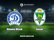 Din. Minsk - Gomel